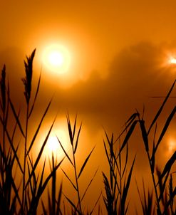 Bay Head NJ Foggy Night 9588