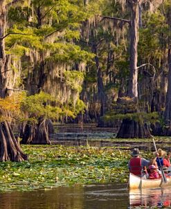 Caddo Lake Canoe TX 8331