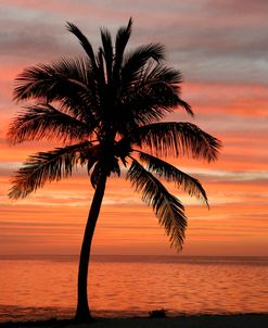 Key Largo FL Sunset 7977