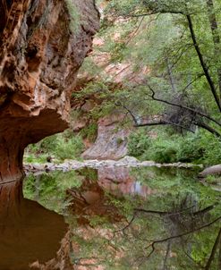 Oak Creek Canyon AZ 2379