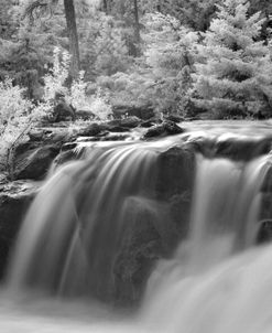 Oregon Waterfall Infrared 9827