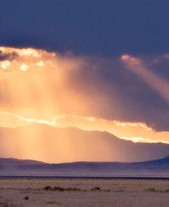 Western NM Lightrays 4417