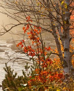 White Mountains NH Hazy River 9698