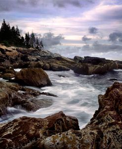 Acadia NP jagged Coast