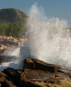Acadia NP waves 8821