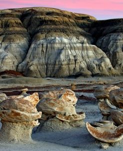 Bisti Badlands Egg Garden 4853