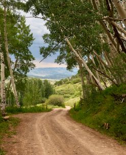 Alpine Loop Last Dollar Road CO 7-14 2432