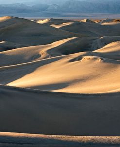 Death Valley Mesquite Sand Dunes 1172