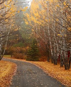 Coeur d’Alene Fall Road 3322