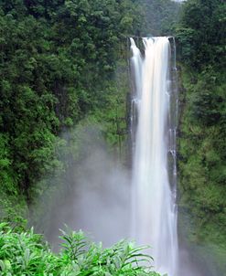 Hawaii Akaka Vertical