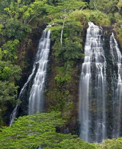 Kauai Opaeka’a Falls 3984