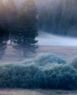 Lake Tahoe Morning Mist 9710