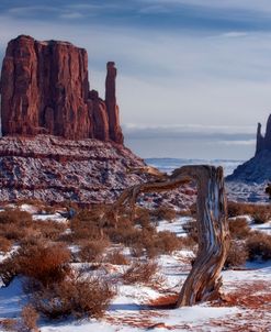 Monument Valley Snow w Bent Tree 2587