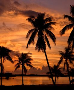 Marathon Key Sunset FL 1885