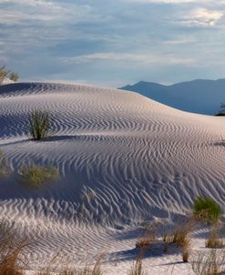 NM White Sands 7668