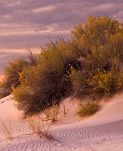 NM White Sands Sunset 9374