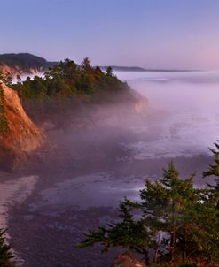 Oregon Cape Arago SP dusk 8663