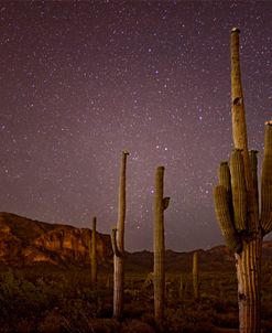 Peralta Trail Stars AZ 2091