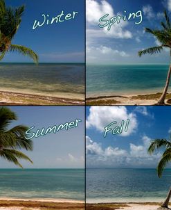 Seasons Of Florida