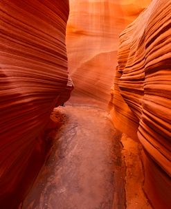 Secret Canyon Stripes 9895