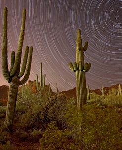 Saguaro Star Trails AZ 1776