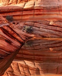 South Coyote Buttes Reflections AZ 8760