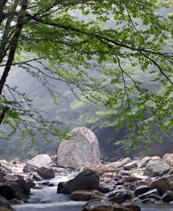 Vermont Hazy River