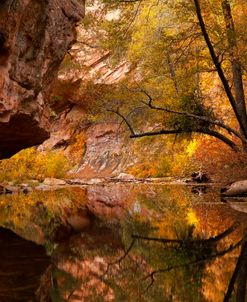 West Fork Oak Creek 2192