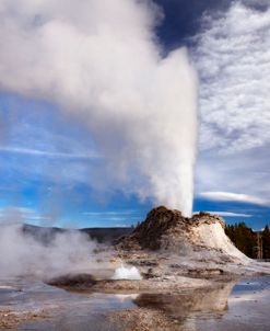 Yellowstone Castle Geyser 2866