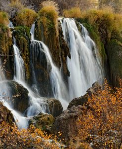 Swan Valley Near Idaho Falls ID 4470