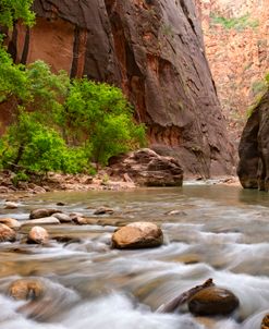 Zion The Narrows 7838