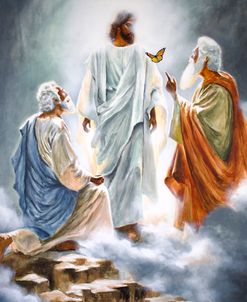 The Transfiguration