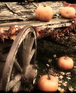 Pumpkin Wagon