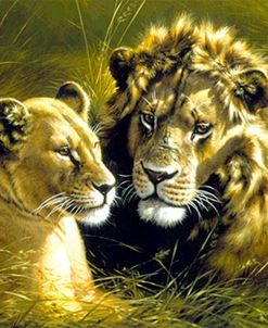 Lion Pair