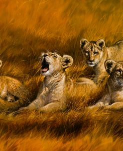 Mother’s Pride