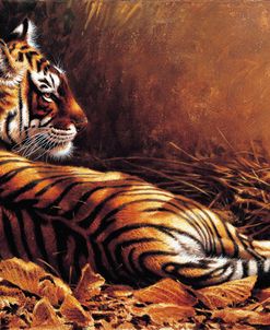 Reclining Tiger