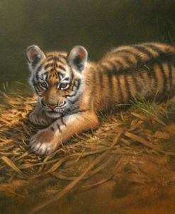 Tiger Cub