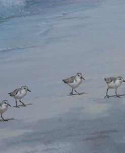 Beach Combers Detail