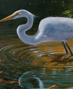 Egret