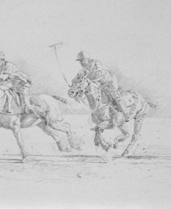 Polo Sketch