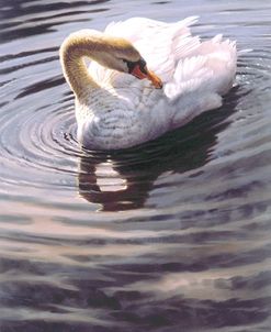 White Swan