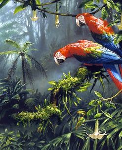 Jewels Of The Forest