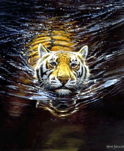 Cooling Tiger