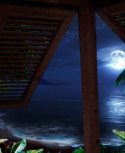 Tropical Dream Moon View