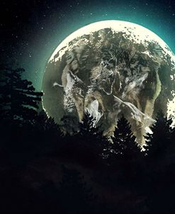 Moon Howl