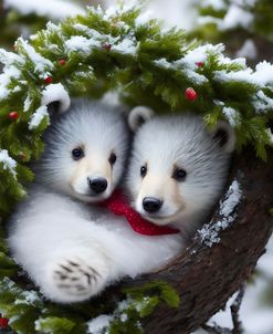 White Cuddle Bears