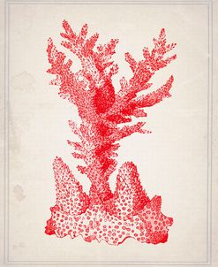 Red Coral 1