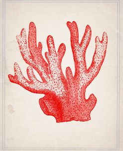 Red Coral 3