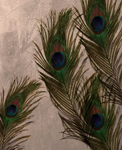 Peacock Feathers I