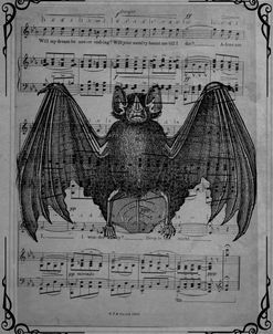 Vintage Bats 2